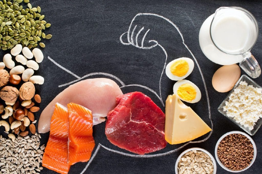 Protein-Muscle