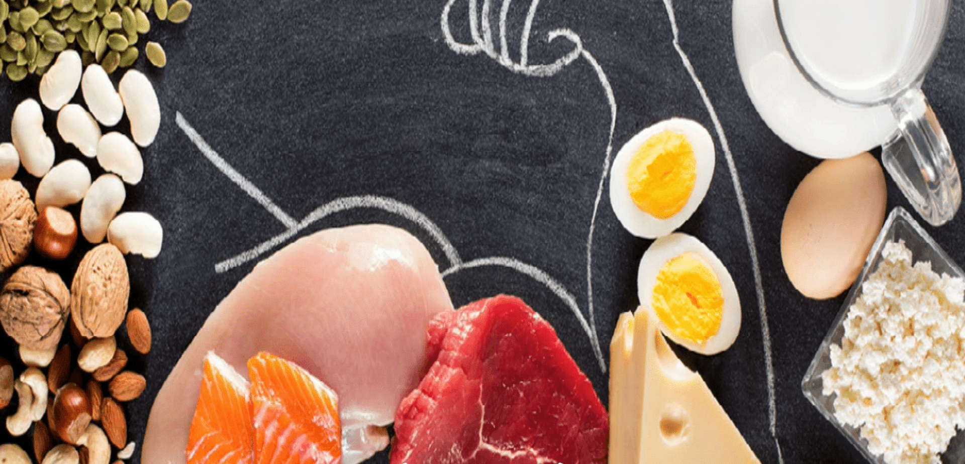 Testosterone-Protein-Muscle