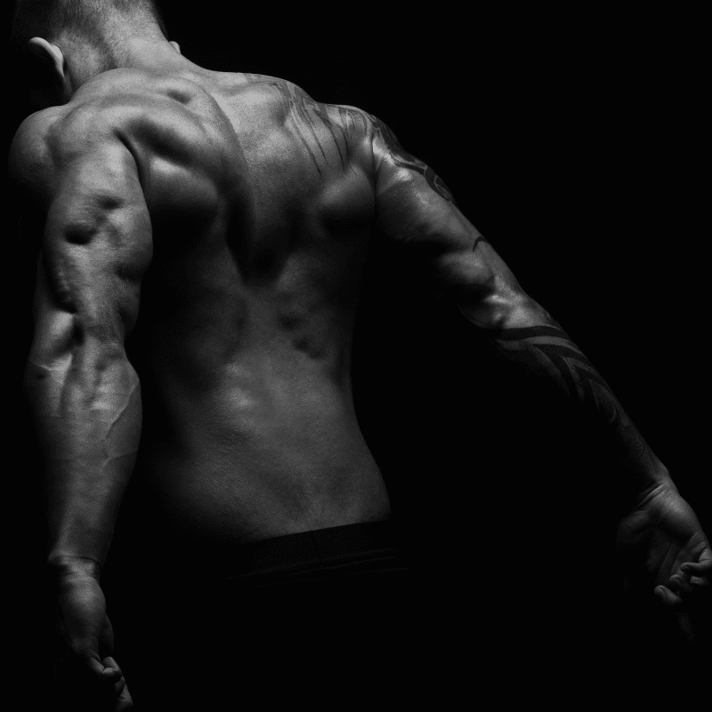 The MANual Part 1: Repair