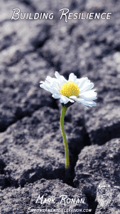 Building Resilience