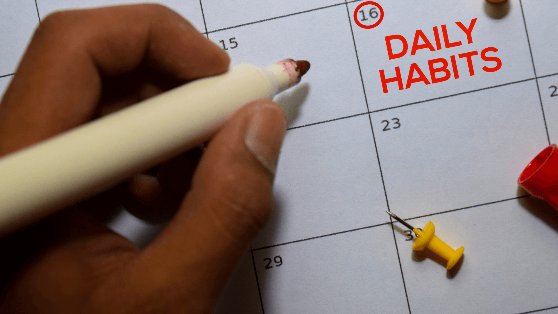 Routines That Regulate: How Simple Structure Can Save You in Recovery